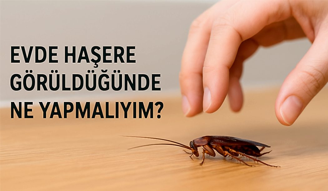 haşere kontrolü, böcek ilaçlama, fare ilaçlama, endüstriyel haşere mücadelesi, çevre sağlığı hizmetleri, hijyen kontrolü, pest kontrol, dezenfeksiyon, uzman çevre, ilaçlama firması