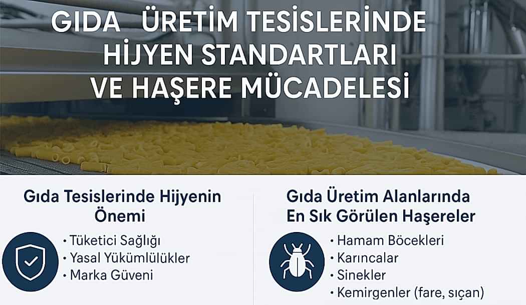 haşere kontrolü, böcek ilaçlama, fare ilaçlama, endüstriyel haşere mücadelesi, çevre sağlığı hizmetleri, hijyen kontrolü, pest kontrol, dezenfeksiyon, uzman çevre, ilaçlama firması