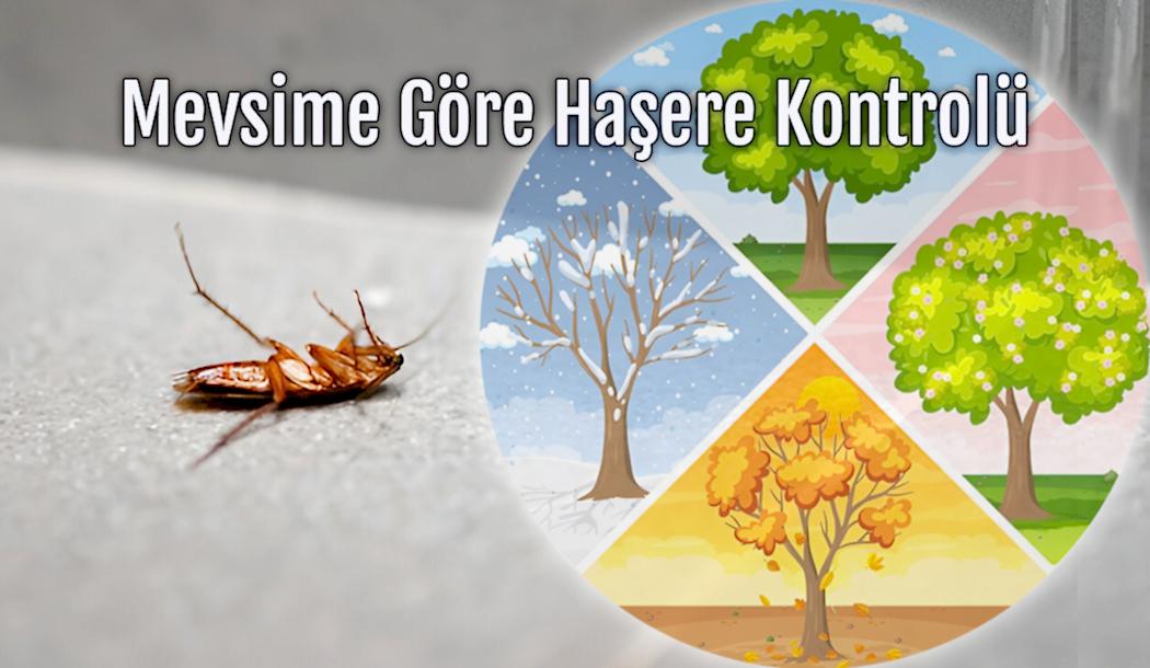 haşere kontrolü, böcek ilaçlama, fare ilaçlama, endüstriyel haşere mücadelesi, çevre sağlığı hizmetleri, hijyen kontrolü, pest kontrol, dezenfeksiyon, uzman çevre, ilaçlama firması