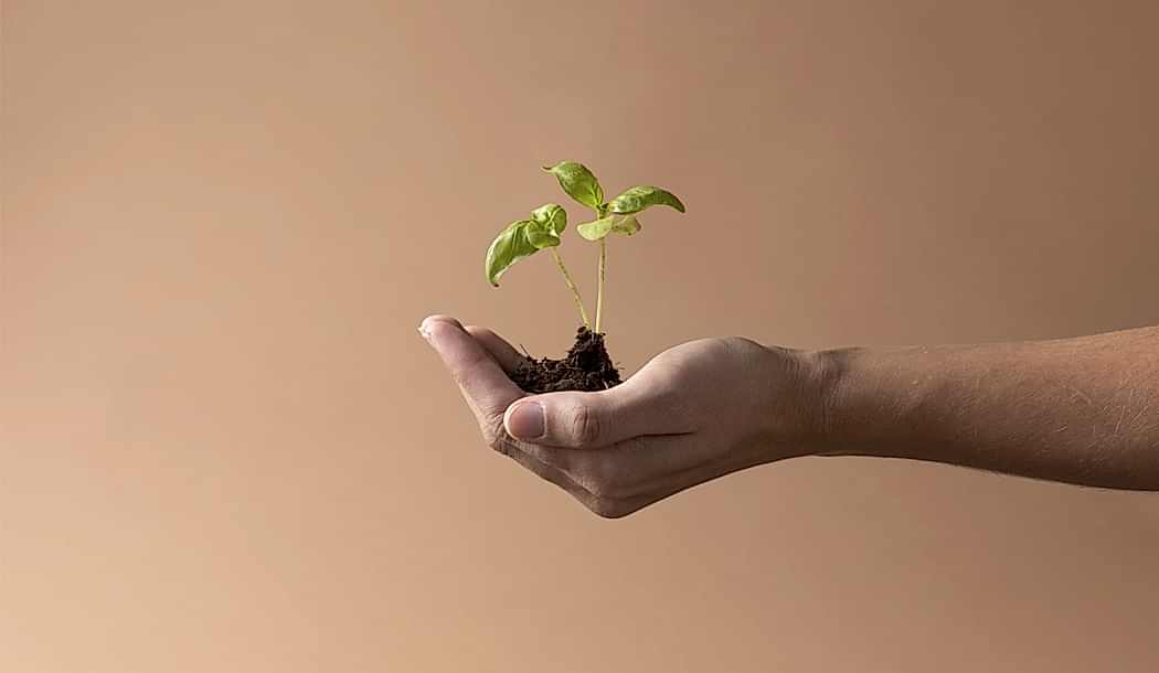 haşere kontrolü, böcek ilaçlama, fare ilaçlama, endüstriyel haşere mücadelesi, çevre sağlığı hizmetleri, hijyen kontrolü, pest kontrol, dezenfeksiyon, uzman çevre, ilaçlama firması