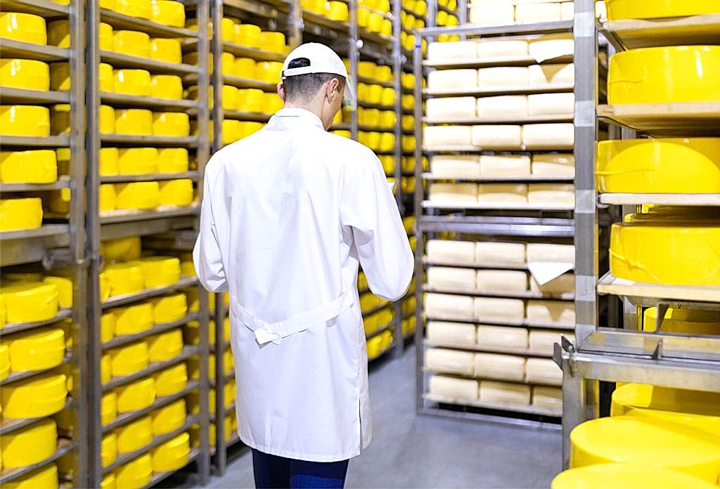 haşere kontrolü, böcek ilaçlama, fare ilaçlama, endüstriyel haşere mücadelesi, çevre sağlığı hizmetleri, hijyen kontrolü, pest kontrol, dezenfeksiyon, uzman çevre, ilaçlama firması