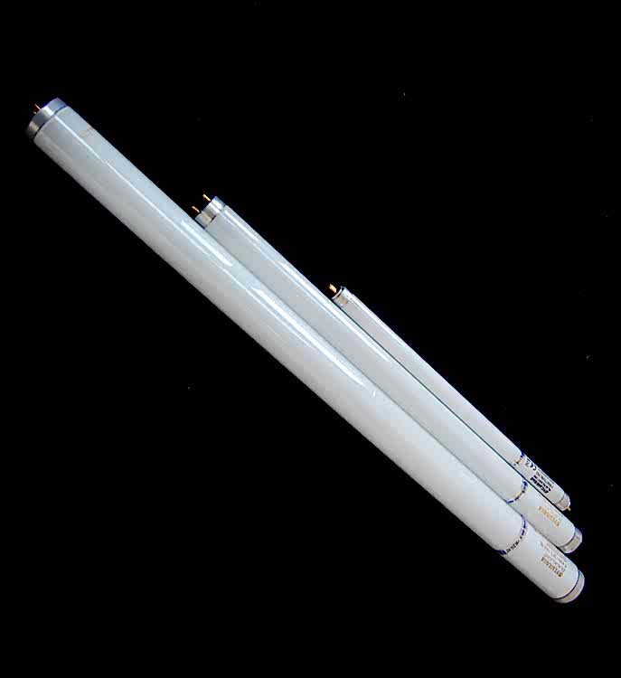 haşere kontrolü, böcek ilaçlama, fare ilaçlama, endüstriyel haşere mücadelesi, çevre sağlığı hizmetleri, hijyen kontrolü, pest kontrol, dezenfeksiyon, uzman çevre, ilaçlama firması